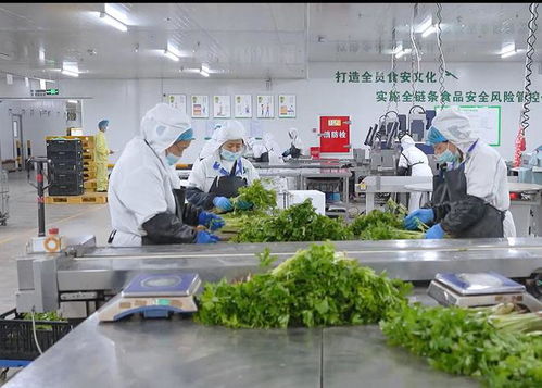 穿透式 监管生产加工全过程 成都彭州试点打造食品安全显性化模式